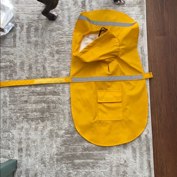 Yellow dog rain jacket - Picture 5 of 6